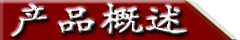 產(chǎn)品概述-1.jpg